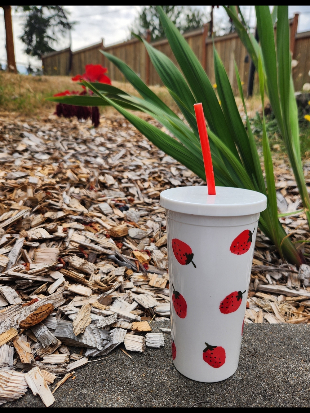 Kate Spade Strawberry Tumbler With Straw